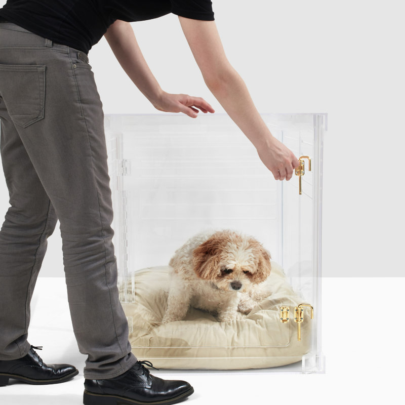 Clear Acrylic Dog CratetoGate & Reviews AllModern